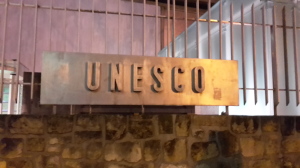 Unesco light year 2015