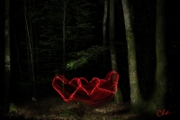 forest_heart